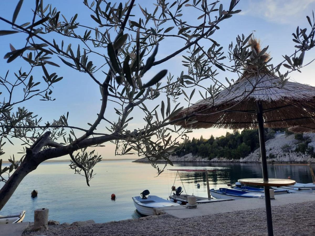 Appartamento Apratman Uvala Duboka Kruscica Kruscica  Esterno foto